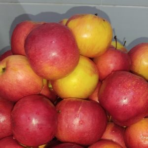 Organizarea procesului de alimentație a copiilor în IET nr.179, str.M.Sadoveanu, 1